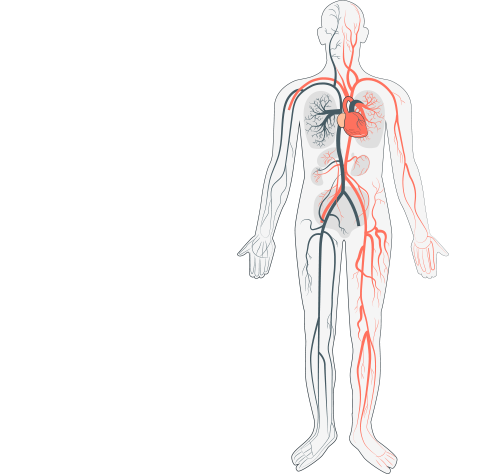 الدعم الفني